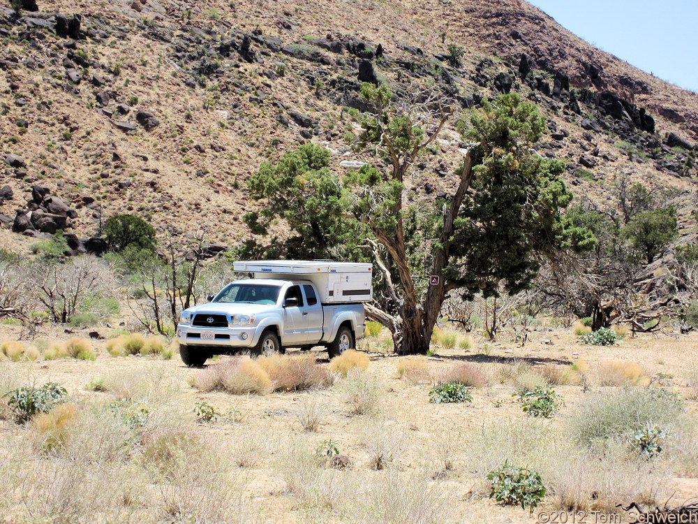 California, San Bernardino County, Lobo Point