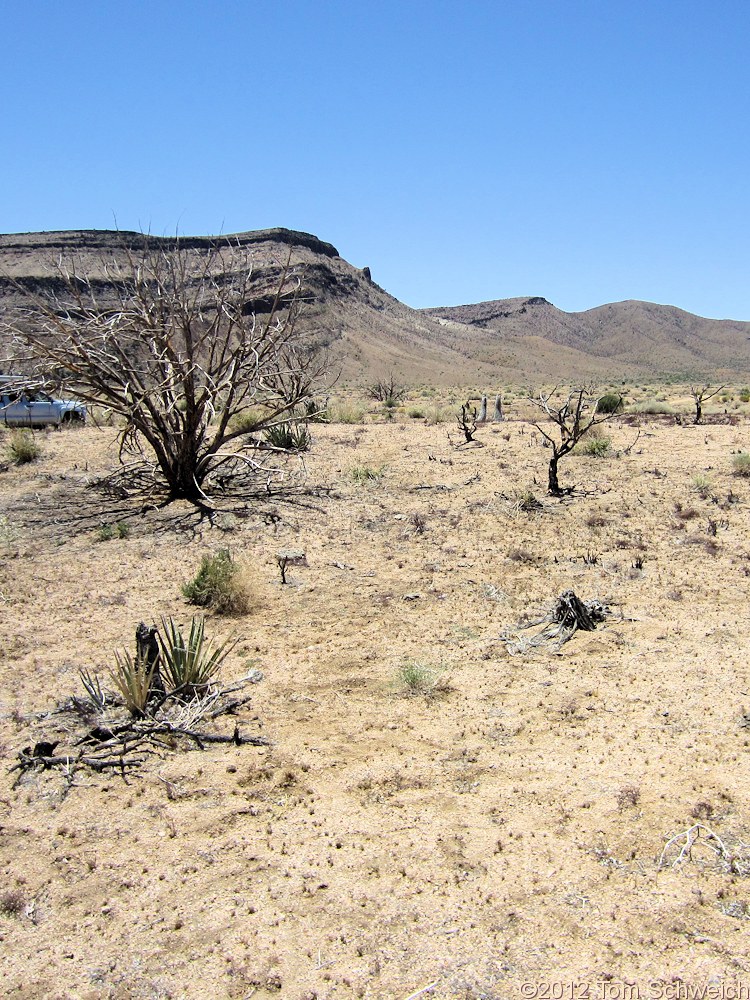 California, San Bernardino County, Lobo Point