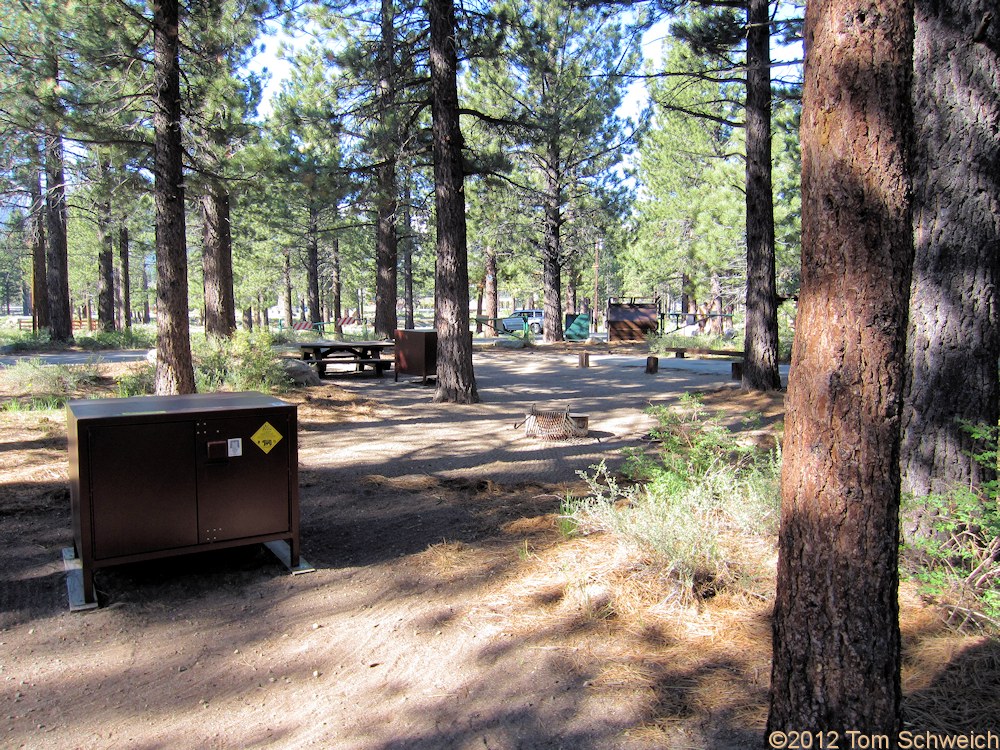 California, Mono County, Shady Rest Campground