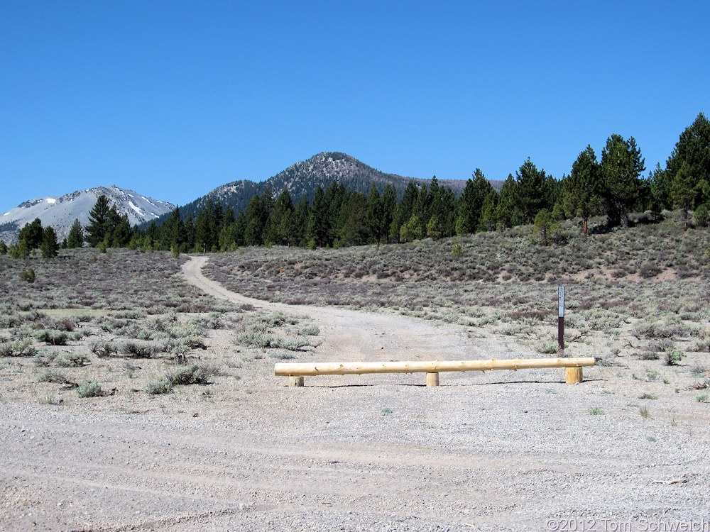 California, Mono County, Airfield Flat