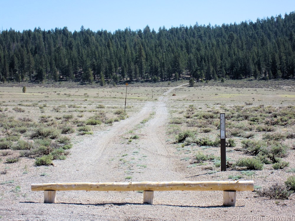 California, Mono County, Airfield Flat