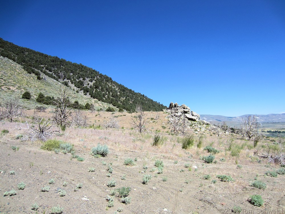 California, Mono County, Mono Lake