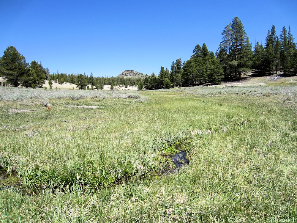 California, Mono County, Crooked Meadows