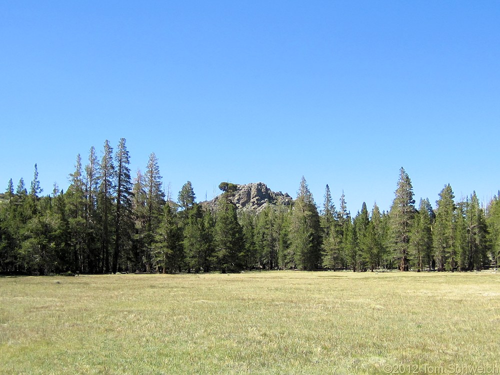 California, Mono County, Wild Horse Meadow