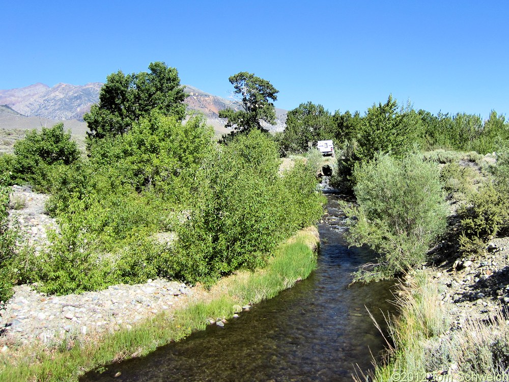 California, Mono County, Mill Creek