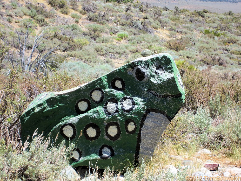 California, Mono County, Mill Creek