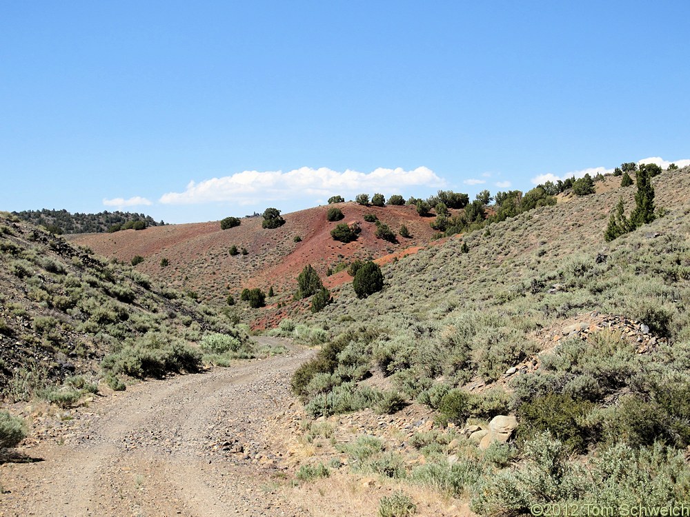 California, Mono County, Bodie Hills