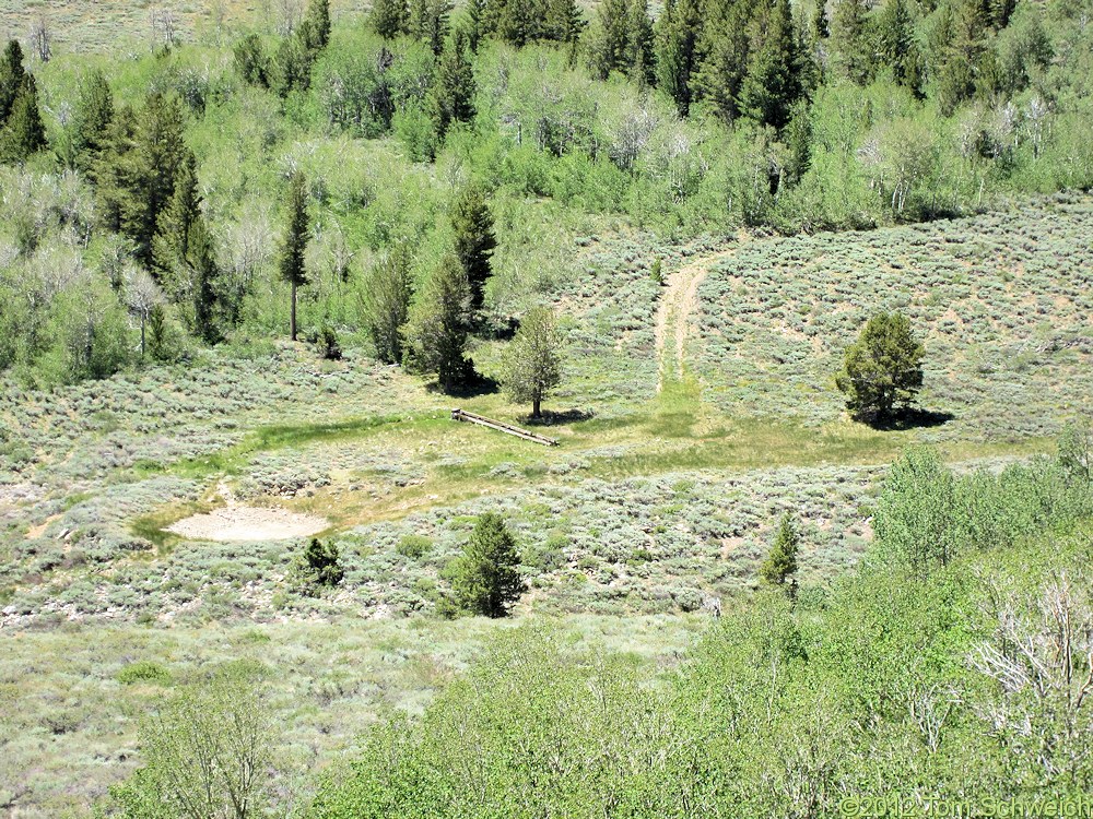 California, Mono County, Jordan Spring