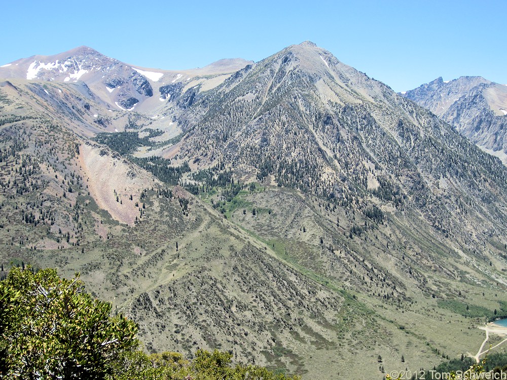 California, Mono County, Deer Creek