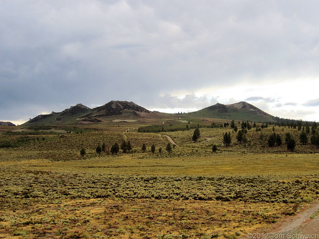 California, Mono County, Sagehen Meadow