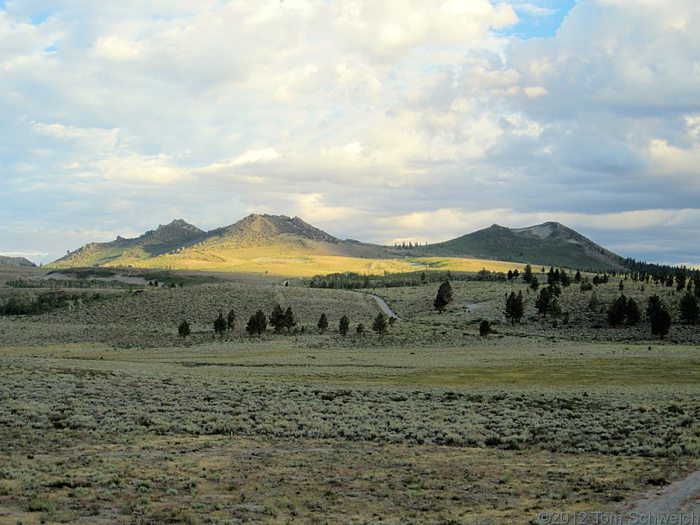 California, Mono County, Sagehen Meadow