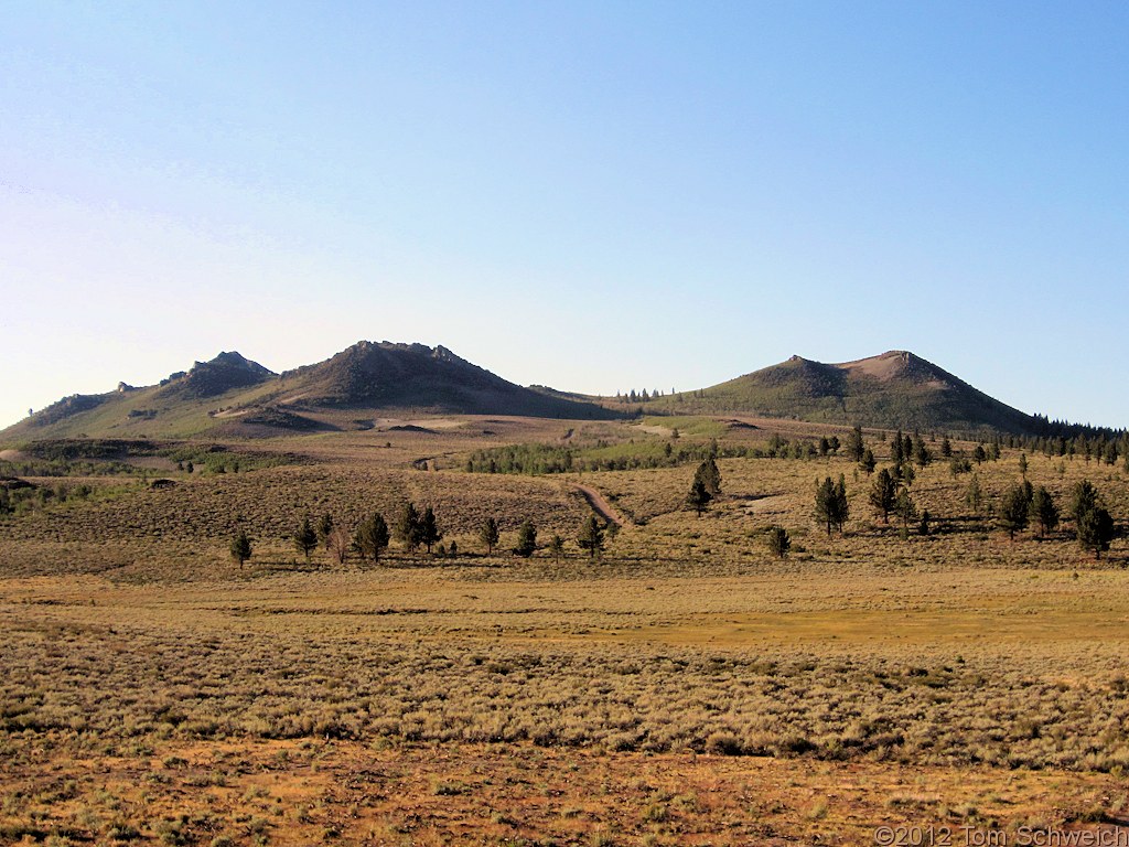 California, Mono County, Sagehen Meadow