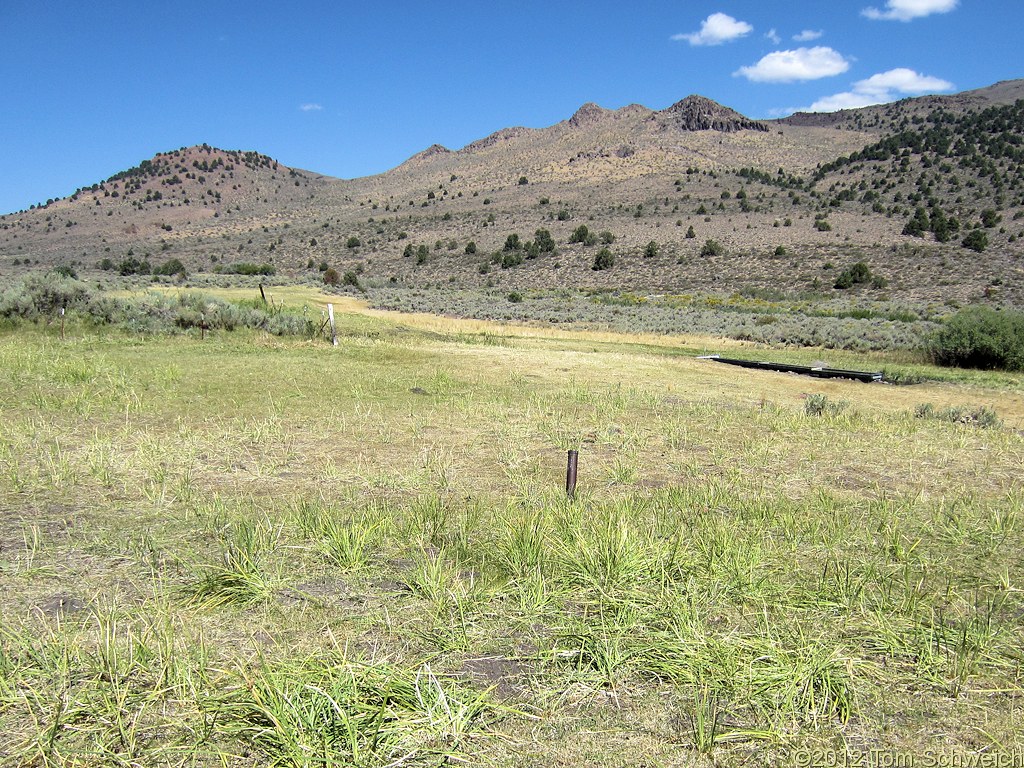 California, Mono County, Bridgeport Canyon