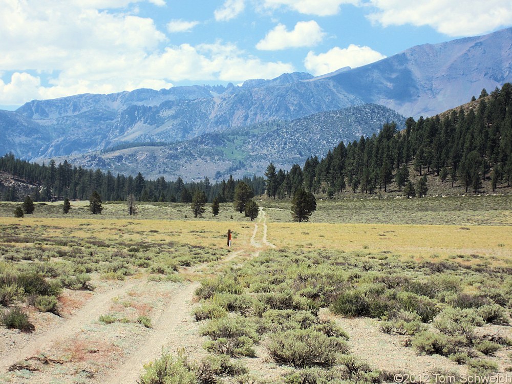 California, Mono County, East Crater Sand Flat