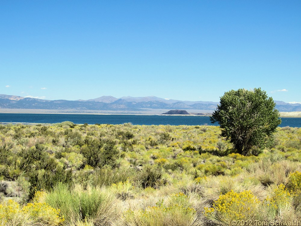 California, Mono County, California, Mono County, Obsidian Dome