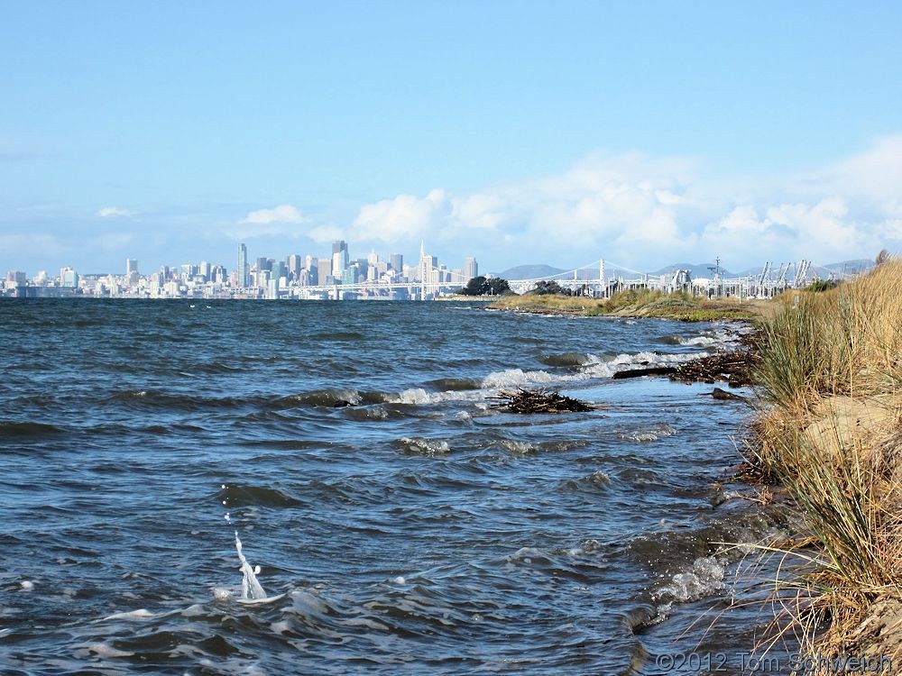 California, Alameda County, Alameda