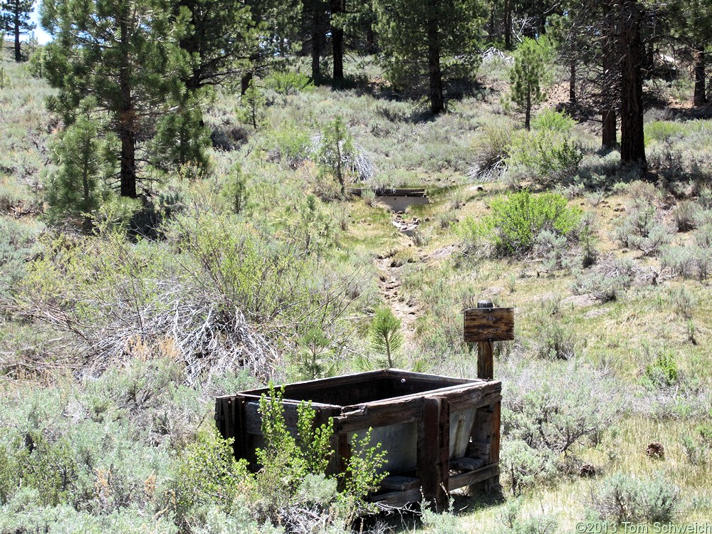 California, Mono County, Sagehen Spring