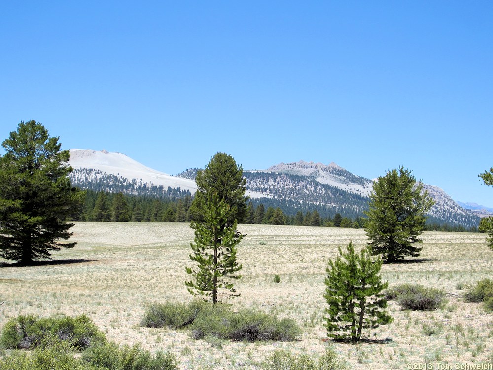 California, Mono County, Railroad Sand Flat