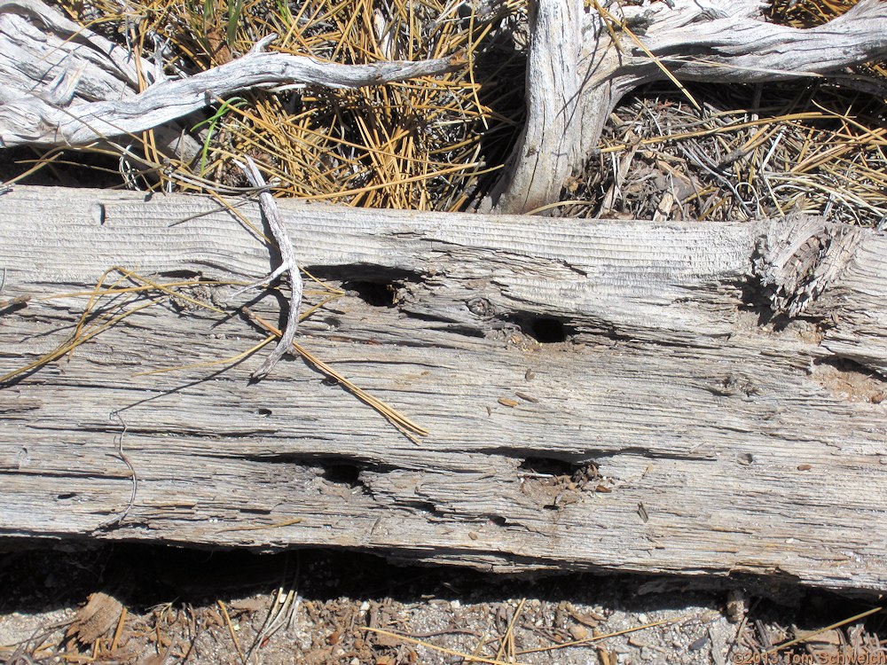 California, Mono County, Bodie and Benton Railway