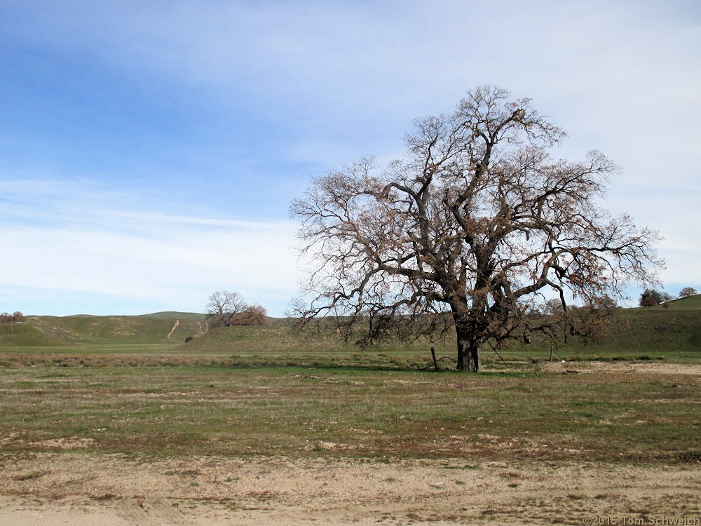 California, San Luis Obispo County, Shell Creek