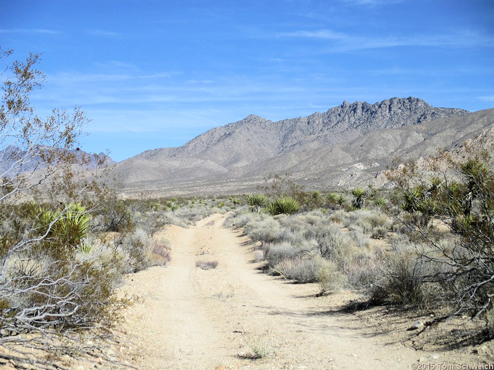 California, San Bernardino County, Kelbaker Road