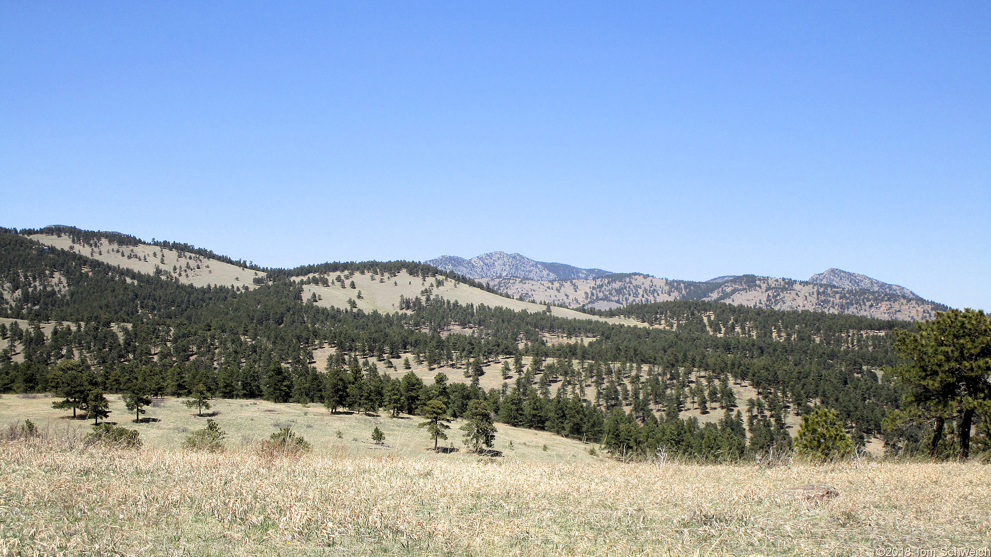 Colorado, Jefferson County, Colorado, Jefferson County, Centennial Cone Park