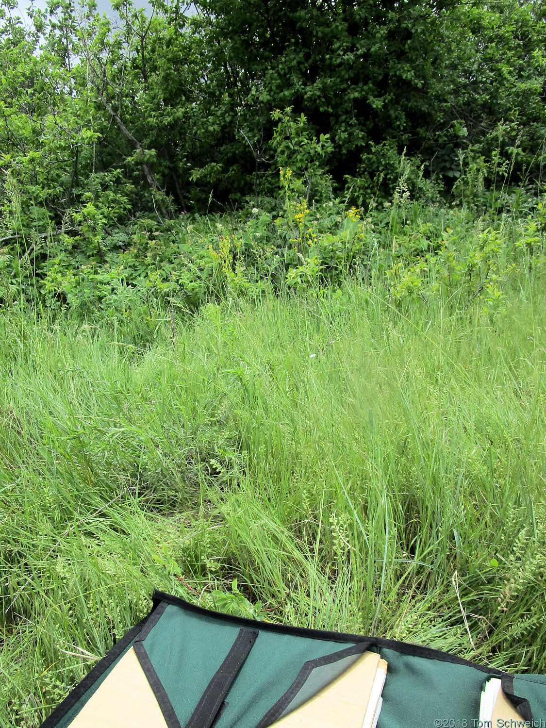 Colorado, Jefferson County, Golden, Colorado School of Mines, Survey Field