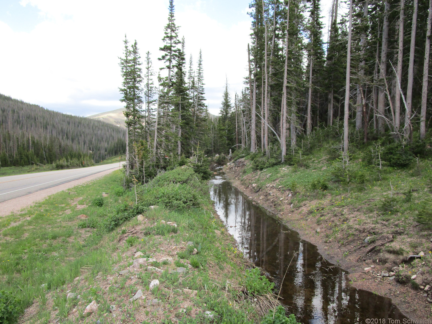 Colorado, Larmier County, Cameron Pass