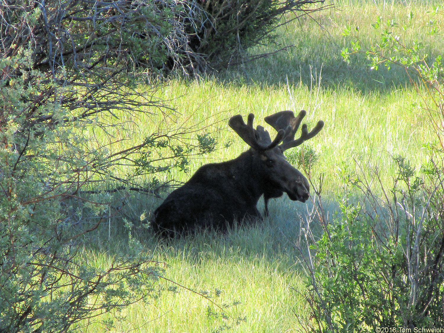 Colorado, Jackson County, Owl Creek