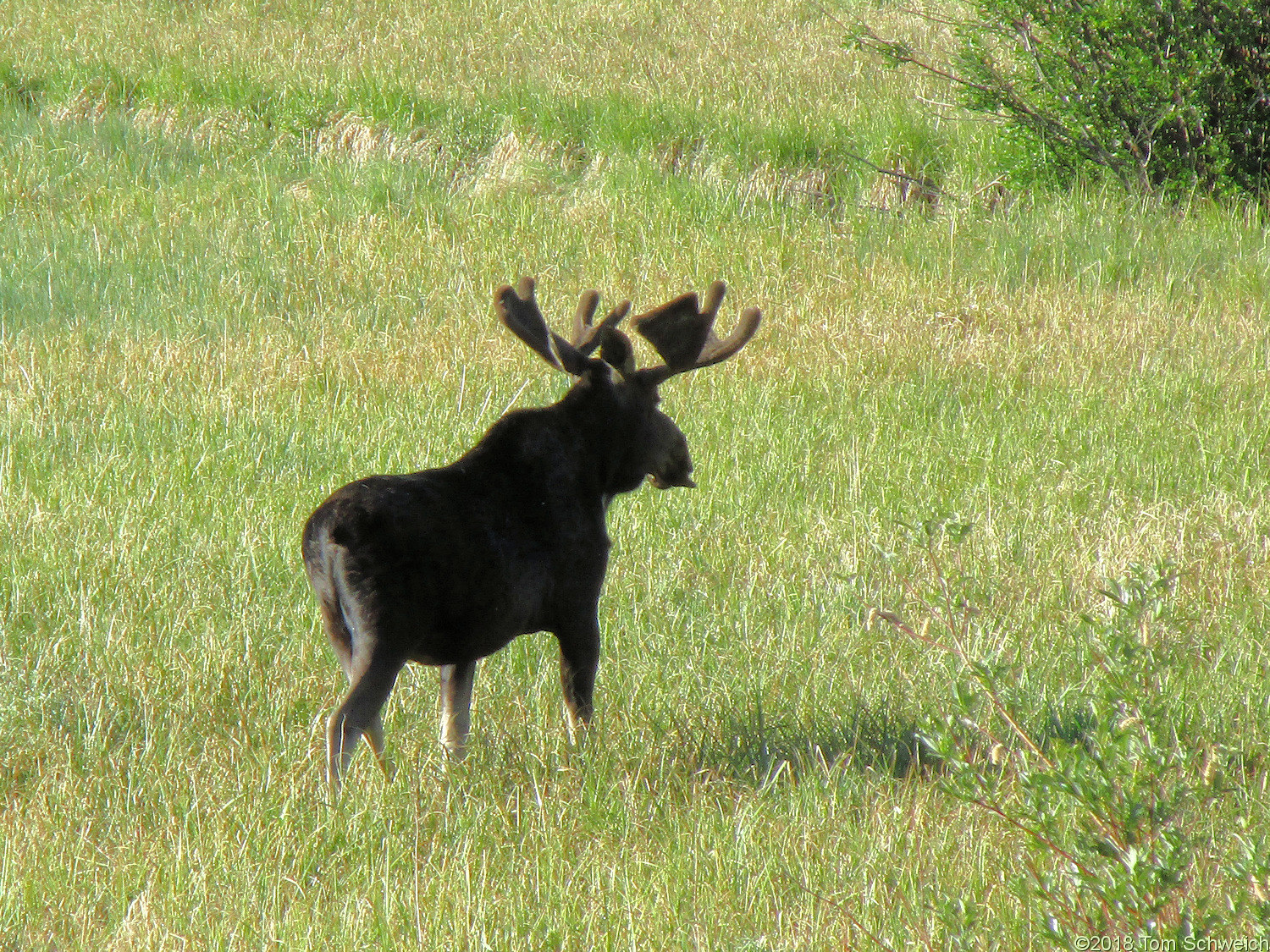 Colorado, Jackson County, Owl Creek