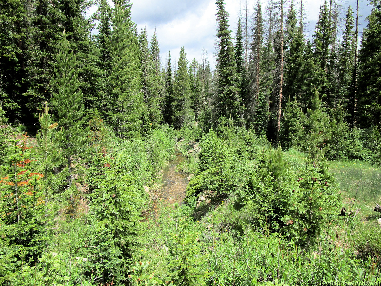 Colorado, Larimer County, Skyline Ditch