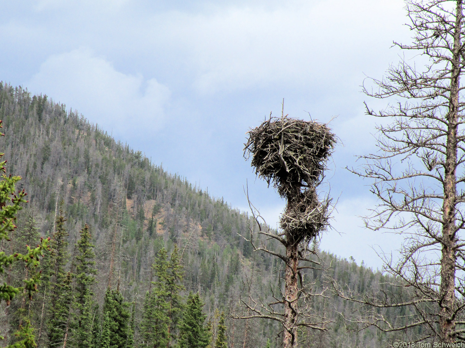 Colorado, Larimer County, Laramie River