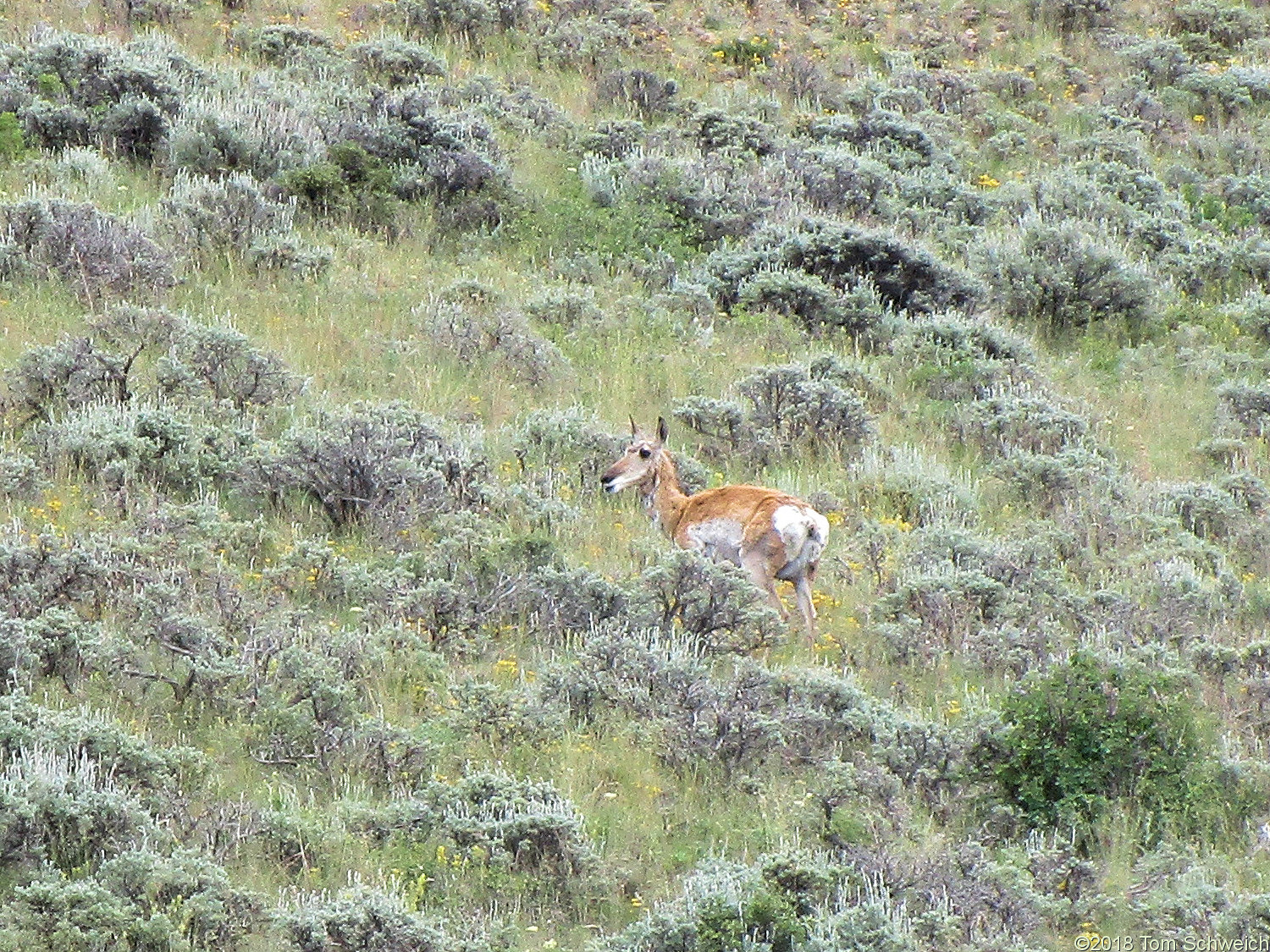 Colorado, Jackson County, North Park