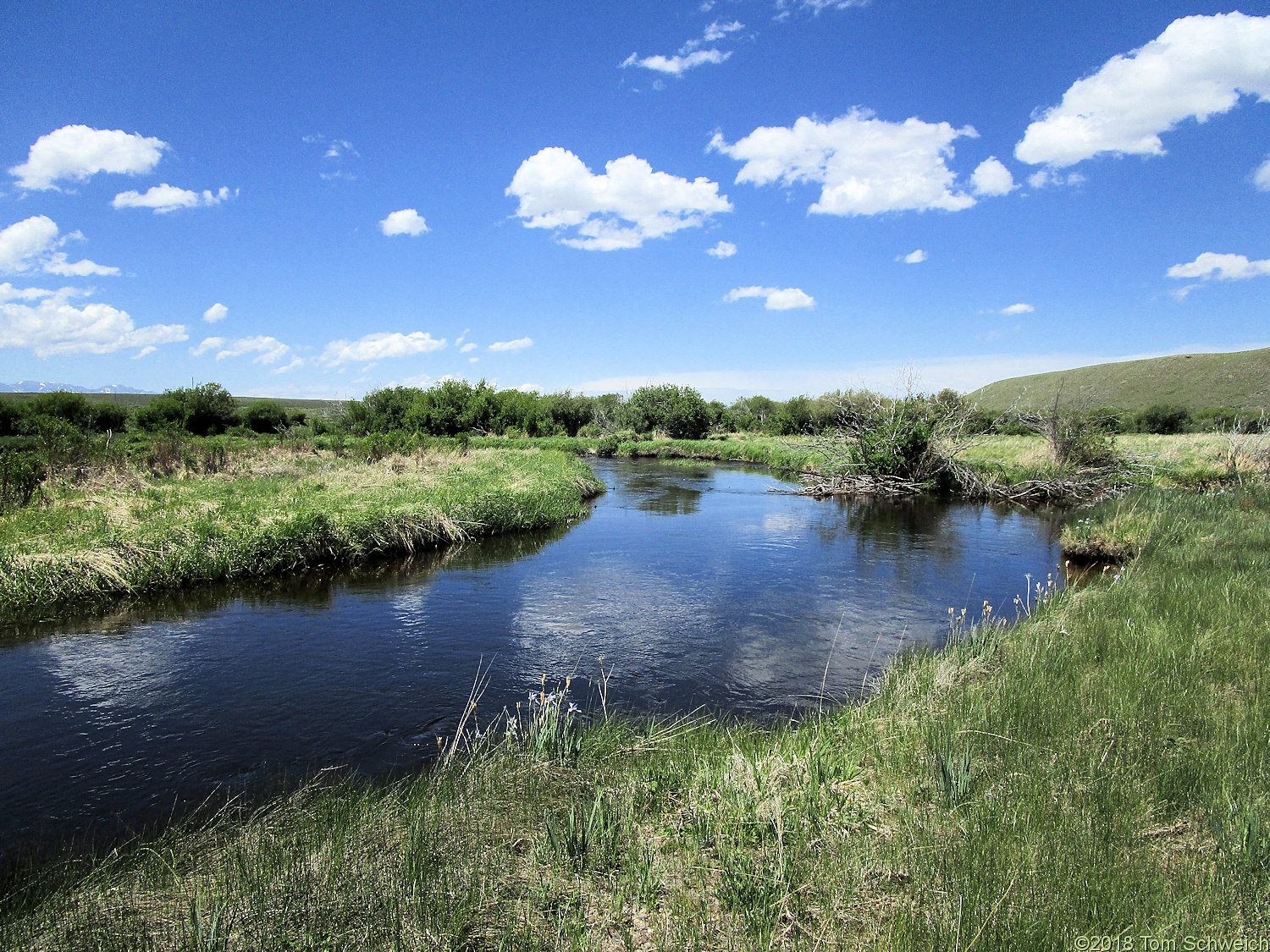 Colorado, Jackson County, Arapaho National Wildlife Refuge