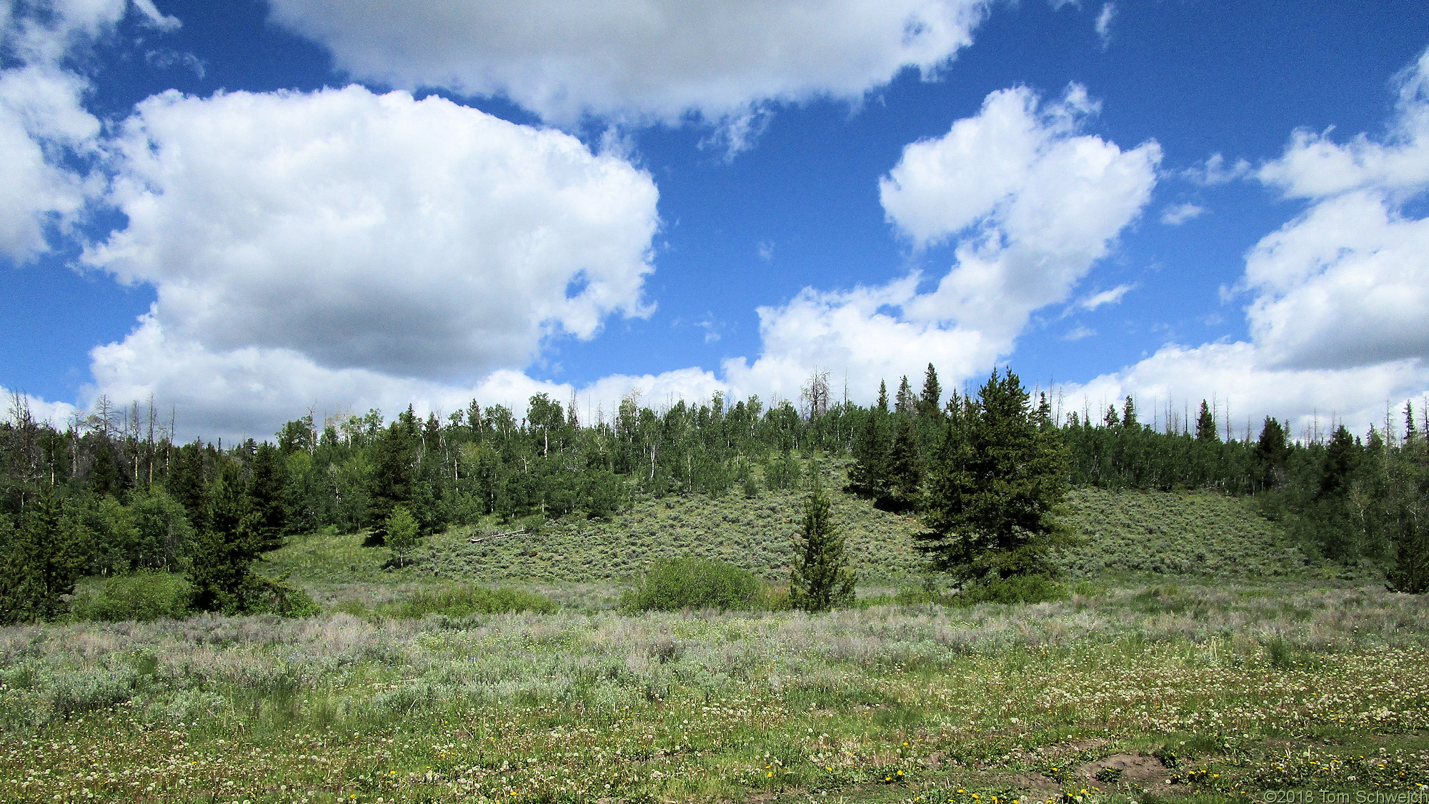 Colorado, Jackson County, Rabbit Ears Range