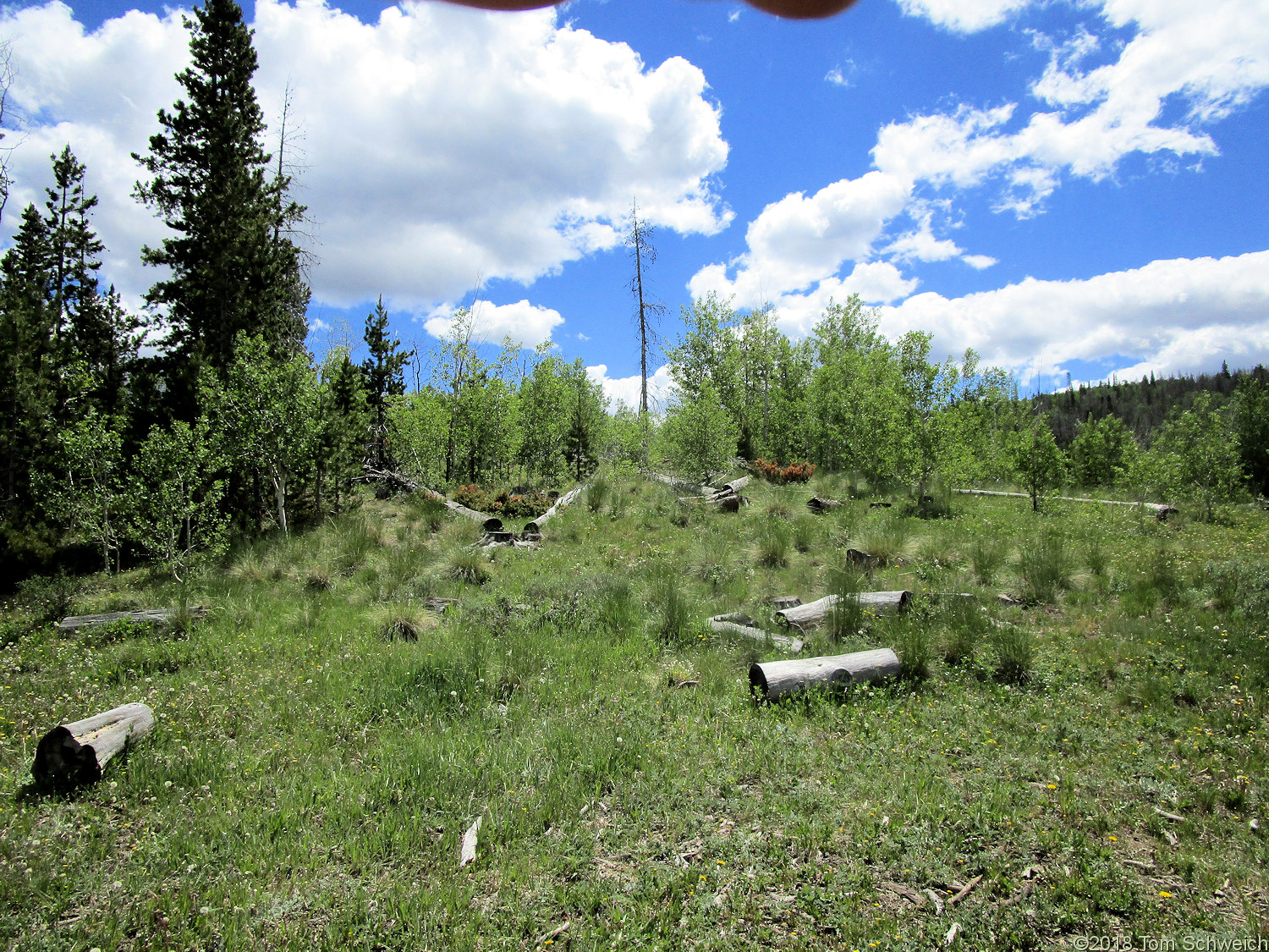 Colorado, Jackson County, Rabbit Ears Range