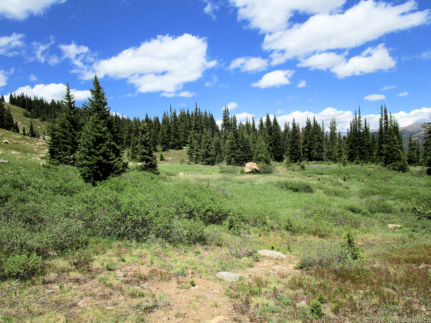 Colorado, Grand County, Berthoud Pass