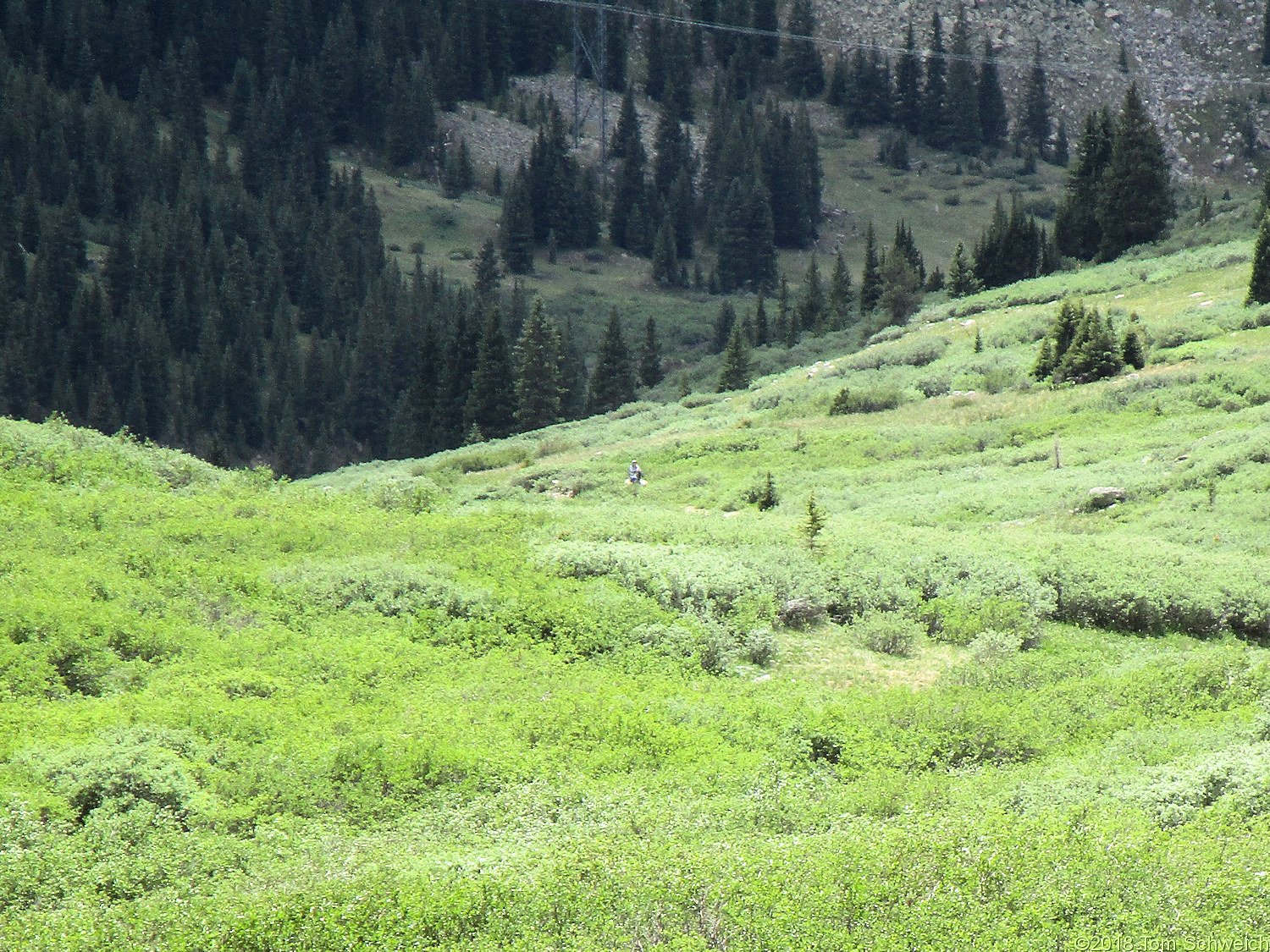 Colorado, Summit County, Horseshoe Basin