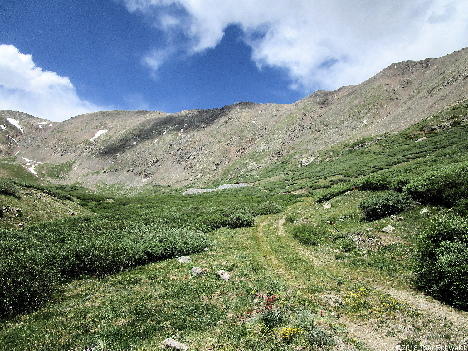 Colorado, Summit County, Horseshoe Basin