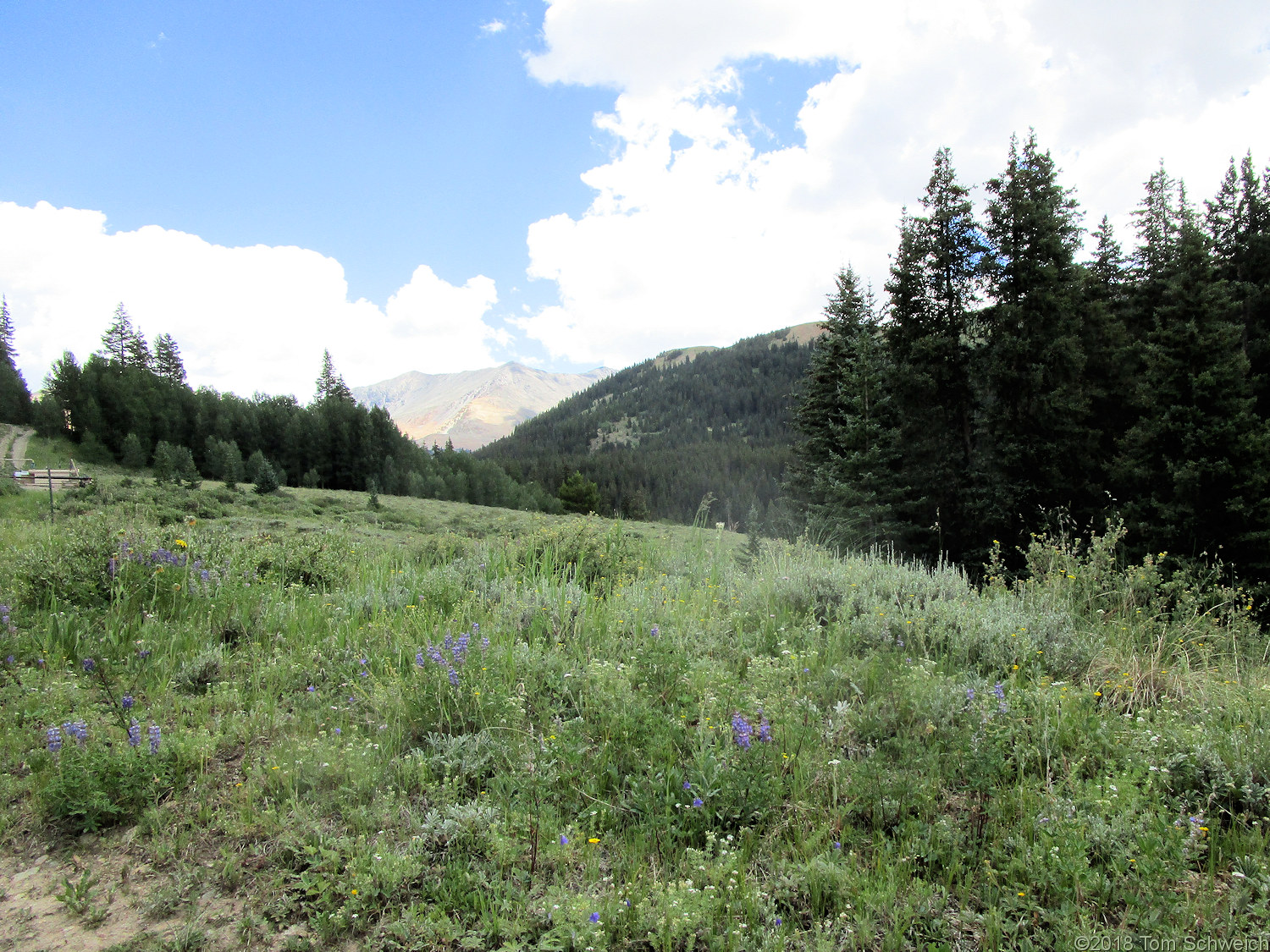 Colorado, Lake County, Chalk Creek