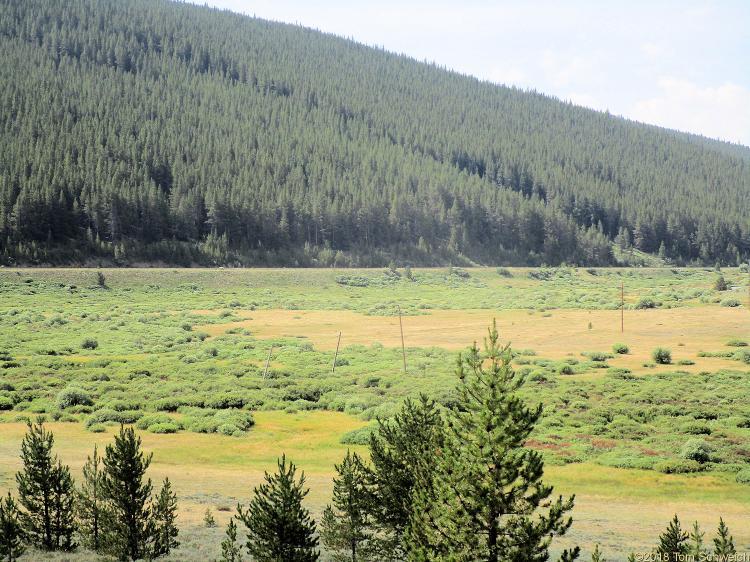 Colorado, Lake County, Crane Park