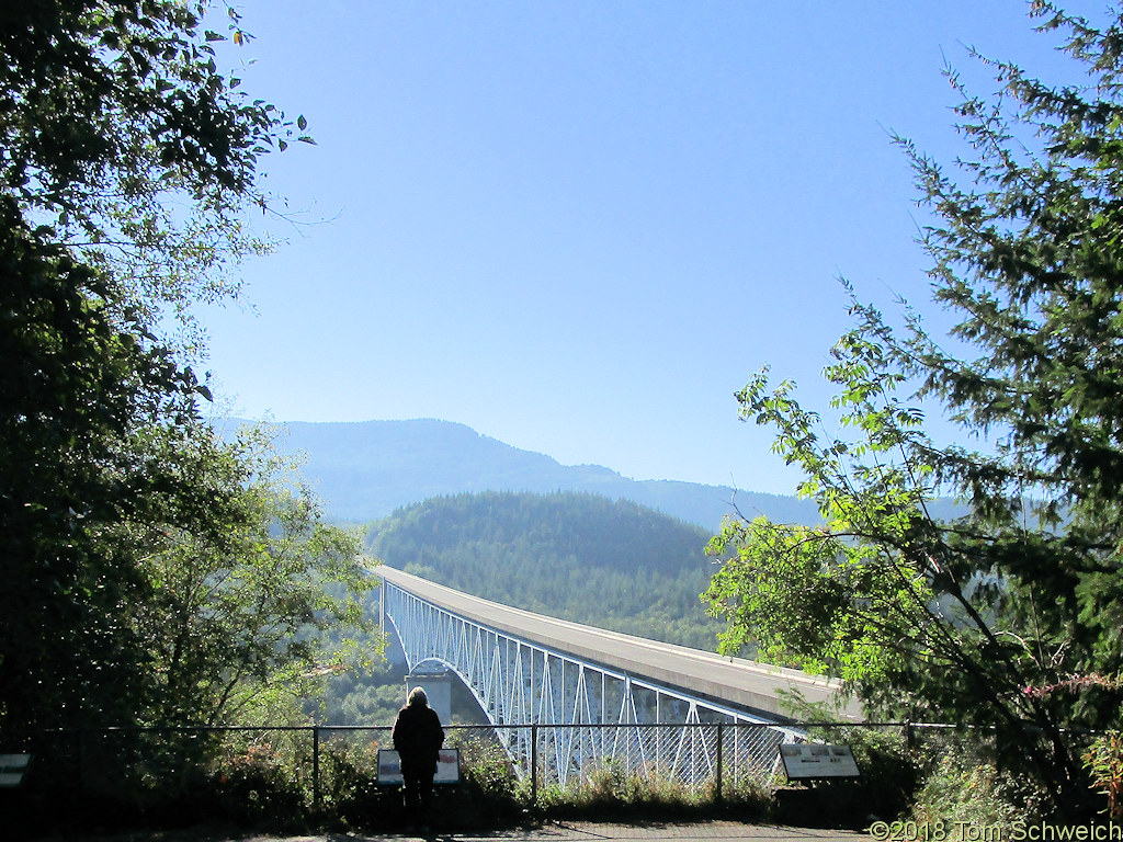 Washington, Skamania Mt St Helens