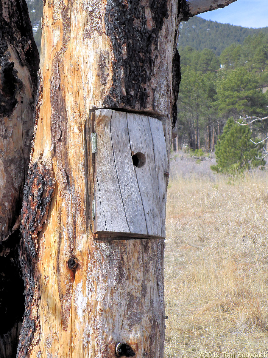 Colorado, Jefferson County, Ranson/Edwards Homestead Open Space