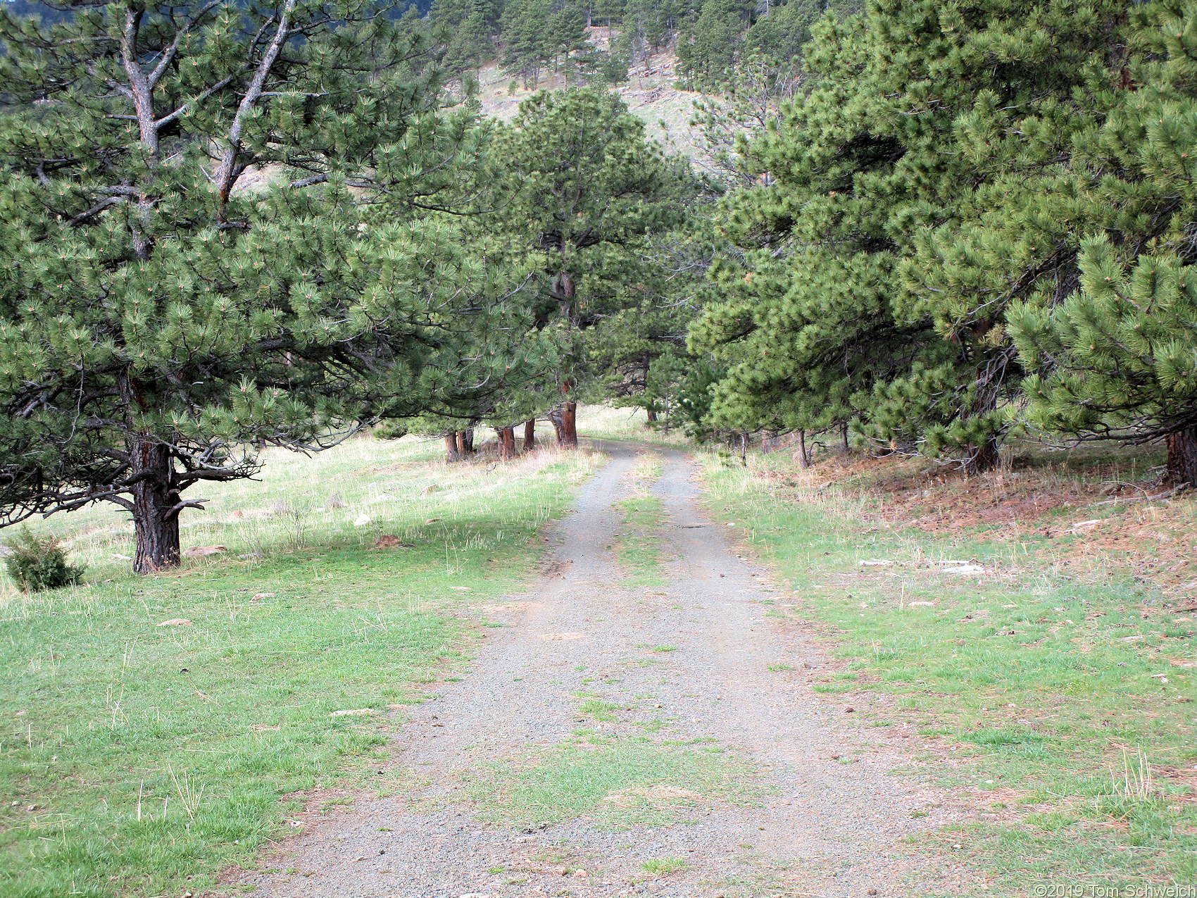 Colorado, Jefferson County, Lippincott Property