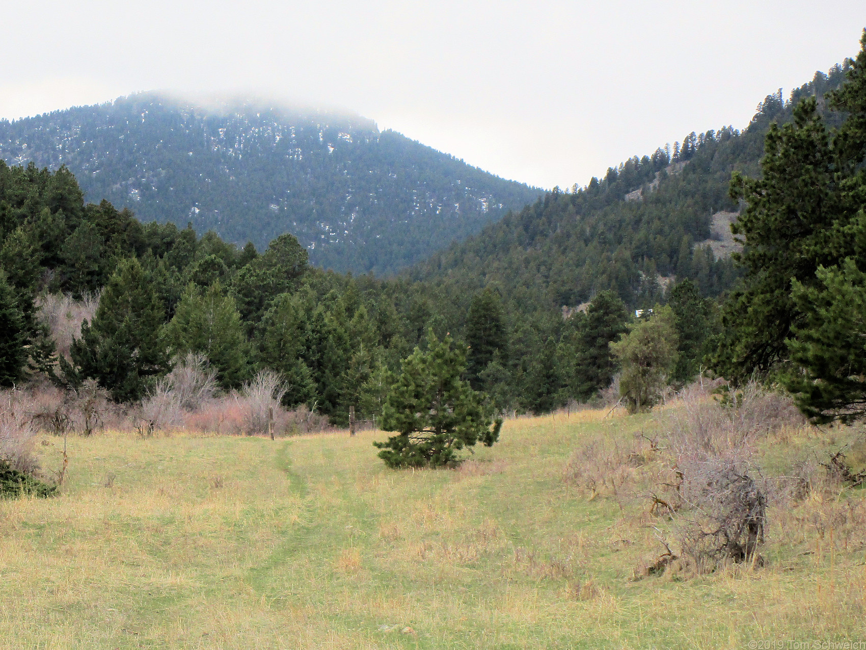 Colorado, Jefferson County, Lippincott Property, Bull Gulch