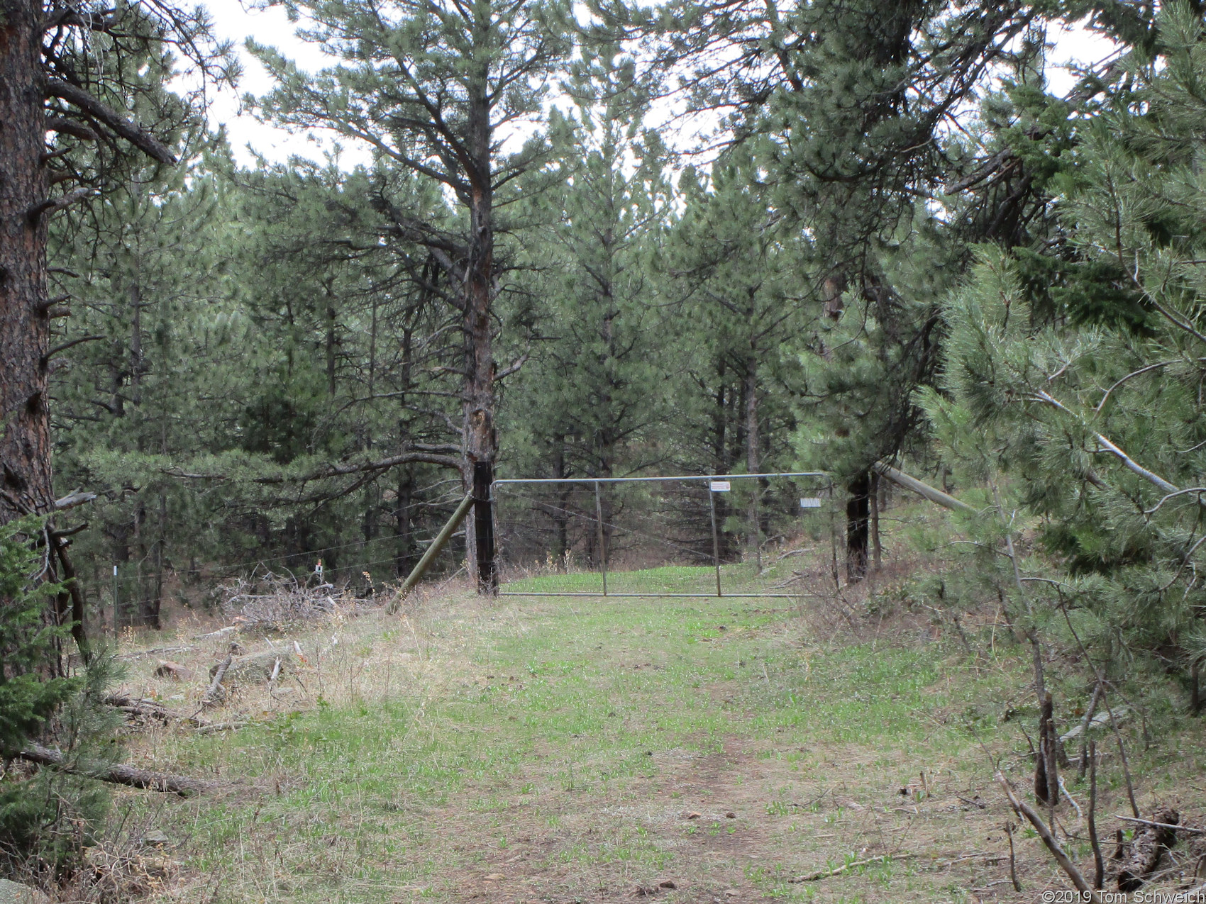 Colorado, Jefferson County, Lippincott Property, Bull Gulch