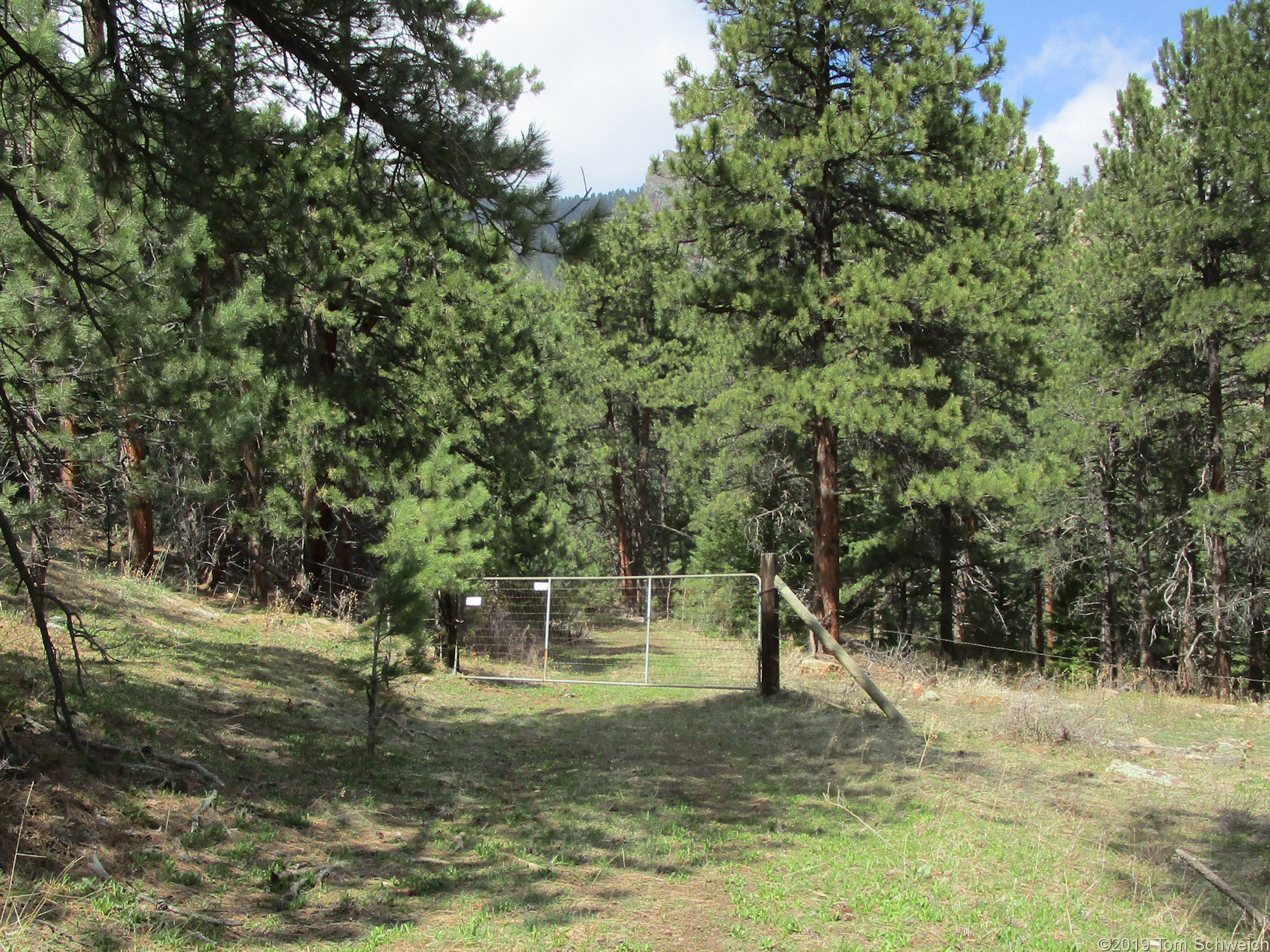 Colorado, Jefferson County, Lippincott Property, Bull Gulch