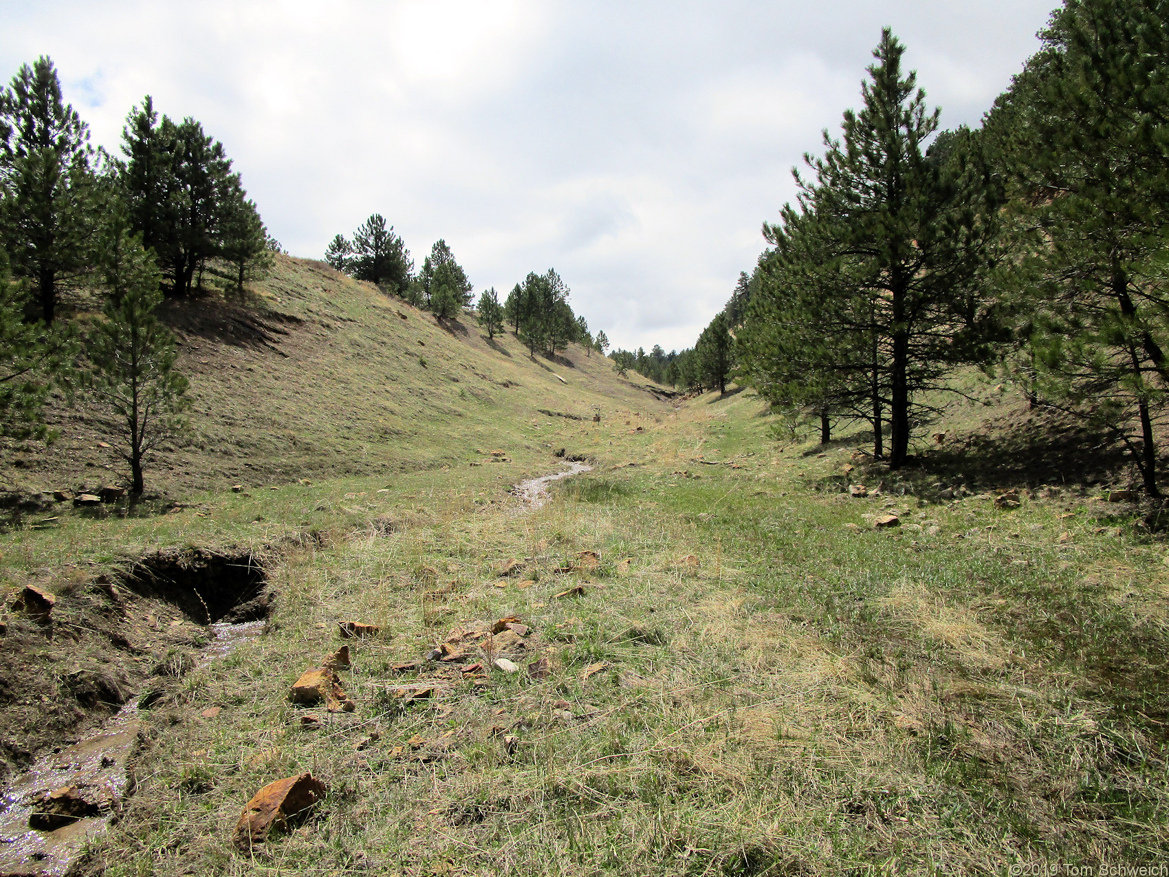 Colorado, Jefferson County, Lippincott Property, Bull Gulch