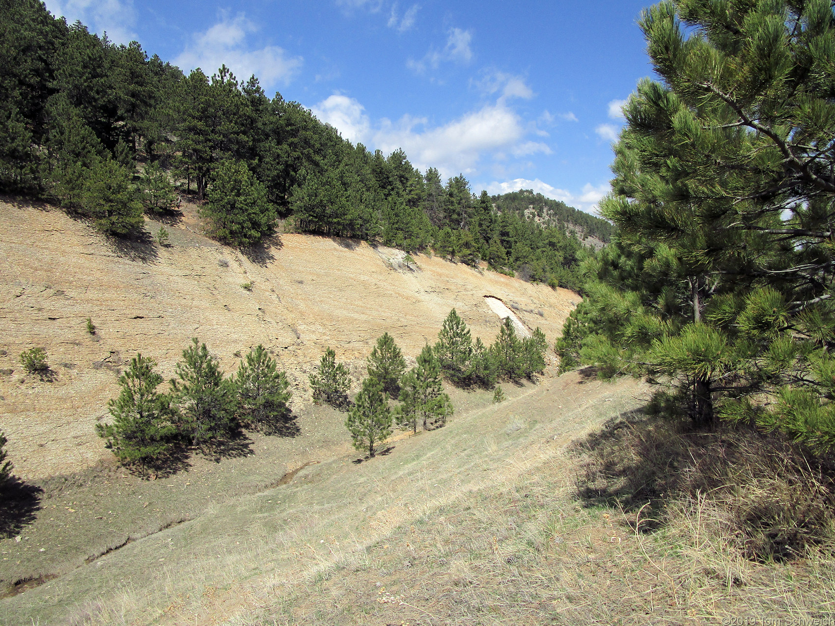 Colorado, Jefferson County, Lippincott Property