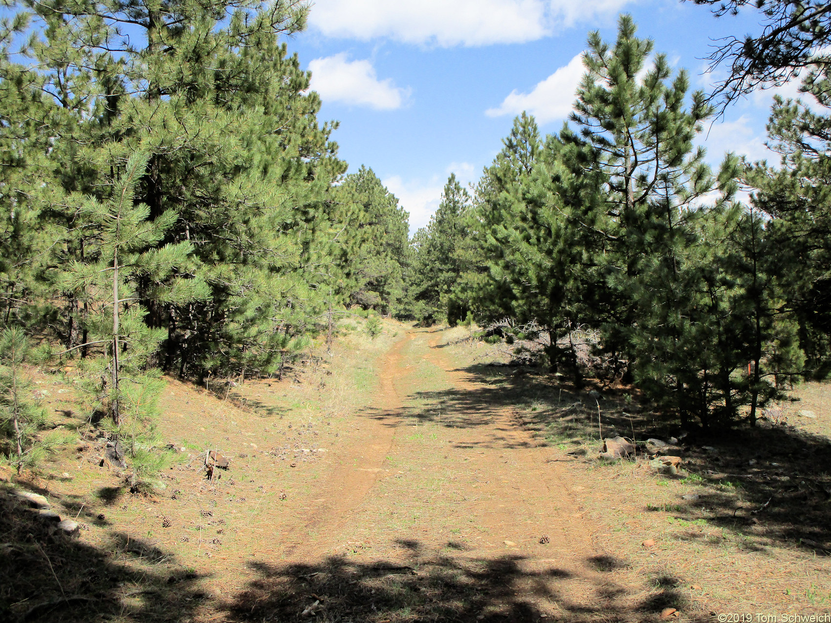 Colorado, Jefferson County, Lippincott Property